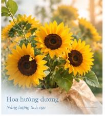 Hoa hướng dương