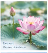 Hoa trong văn hóa Việt Nam