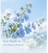 Hoa và cảm xúc