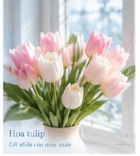 Hoa tulip